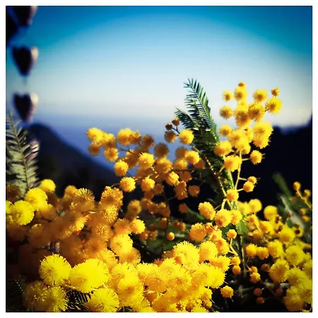 Semesterbostad Stunning In Splendid Surroundings Cap Corse *