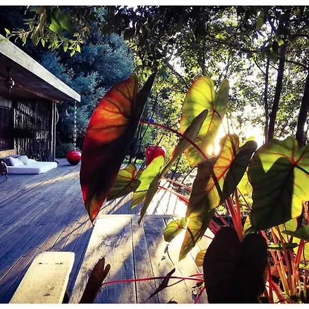 Stunning In Splendid Surroundings Cap Corse בית נופש