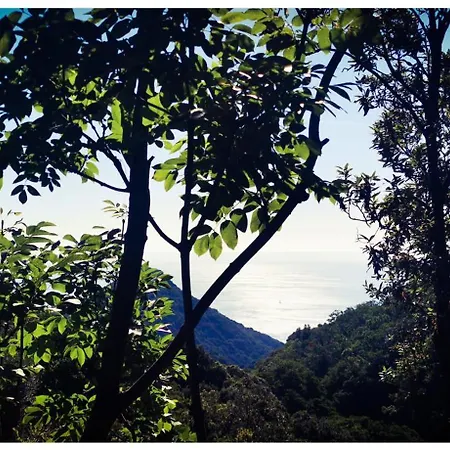 Stunning In Splendid Surroundings Cap Corse San-Martino-di-Lota