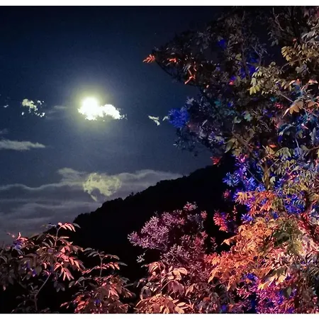 Semesterbostad Stunning In Splendid Surroundings Cap Corse San-Martino-di-Lota