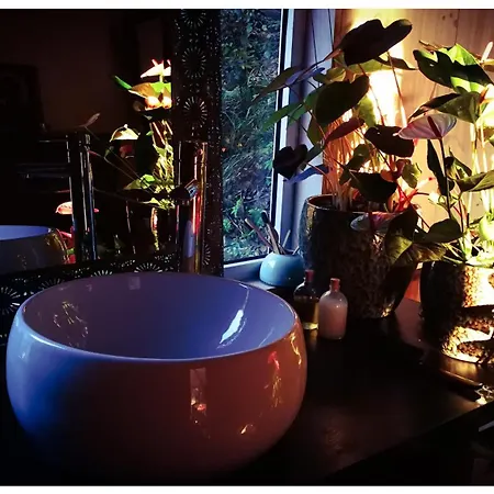 Stunning In Splendid Surroundings Cap Corse