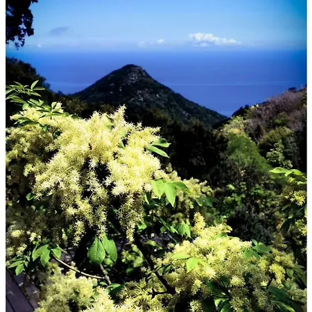 בית נופש Stunning In Splendid Surroundings Cap Corse