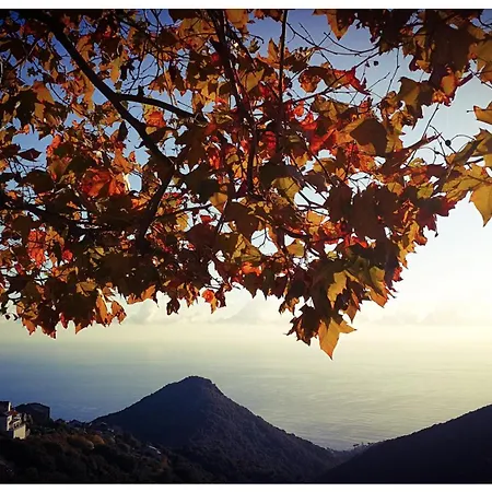 Semesterbostad Stunning In Splendid Surroundings Cap Corse