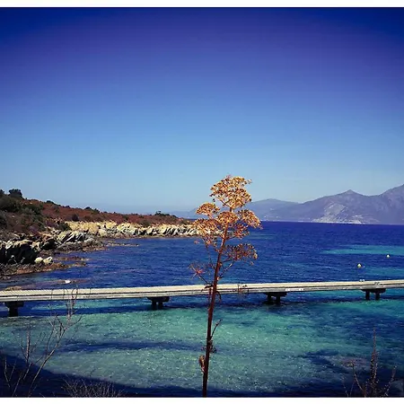 Stunning In Splendid Surroundings Cap Corse * San-Martino-di-Lota