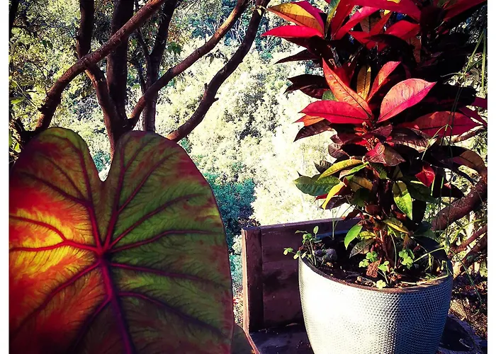 Stunning In Splendid Surroundings Cap Corse *