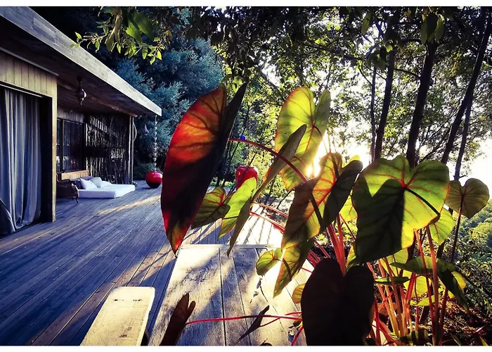 Stunning In Splendid Surroundings Cap Corse Tatil Evi