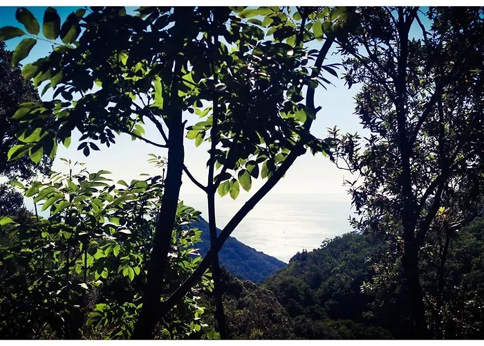 Stunning In Splendid Surroundings Cap Corse San-Martino-di-Lota