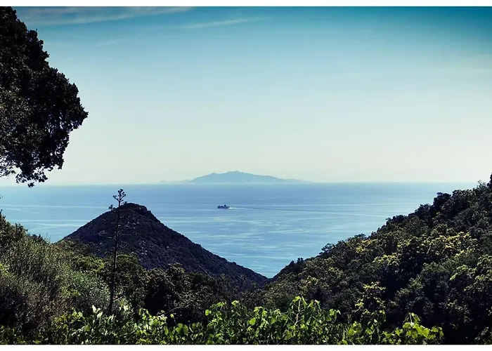 Stunning In Splendid Surroundings Cap Corse Tatil Evi