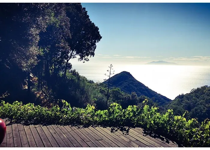 Stunning In Splendid Surroundings Cap Corse Tatil Evi *