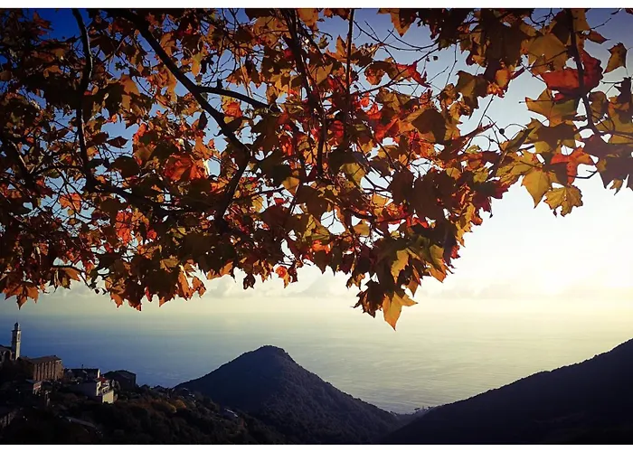 Tatil Evi Stunning In Splendid Surroundings Cap Corse