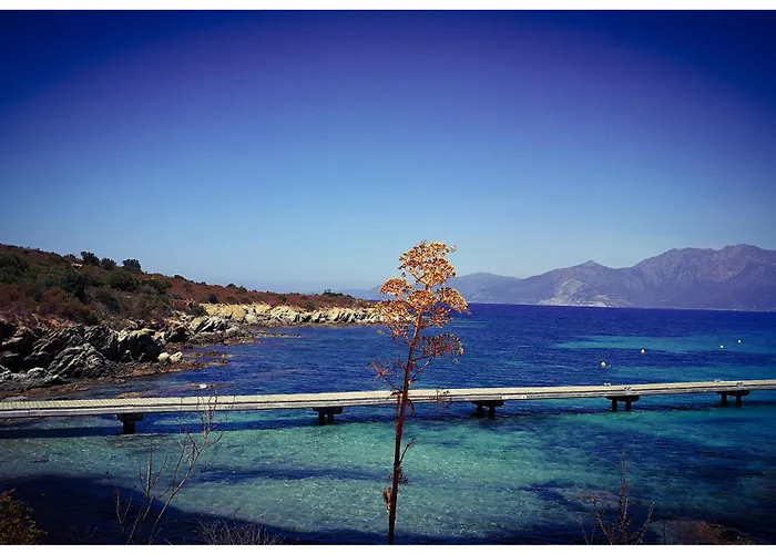 Stunning In Splendid Surroundings Cap Corse * San-Martino-di-Lota